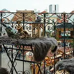 Oldhouse - Old Town *